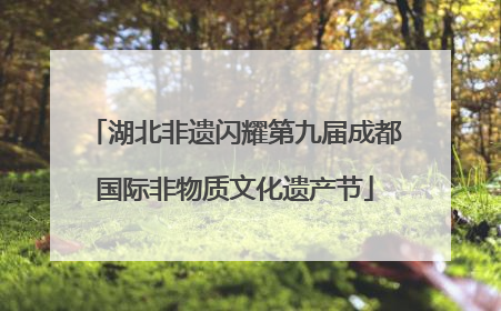 湖北非遗闪耀第九届成都国际非物质文化遗产节